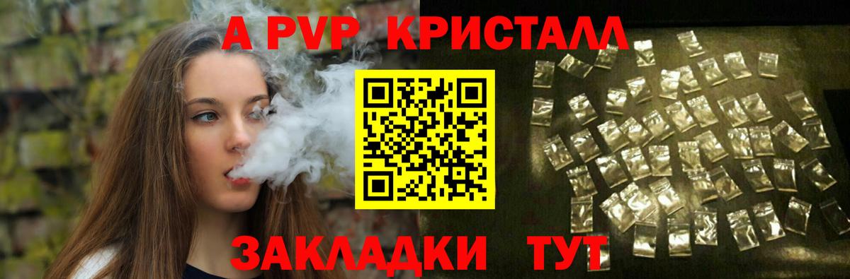 APVP СК Вологда