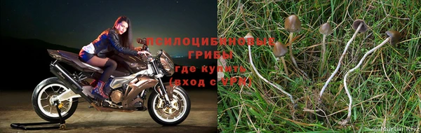 дистиллят марихуана Абдулино
