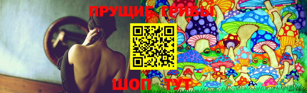 Псилоцибиновые грибы мухоморы Вологда